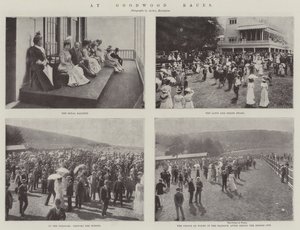 På Goodwood Races