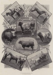 På Leicester Agricultural Show