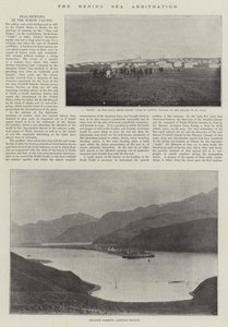 Beringshavets voldgift
