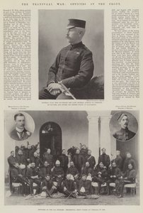 Transvaal-krigen, offiserer ved fronten
