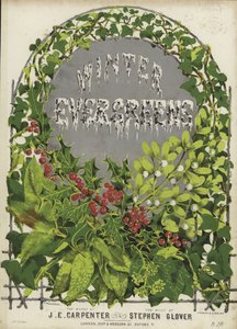 Cover av Winter Evergreens