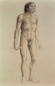 Homo erectus (blyant på papir)