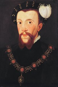 Portrett av Henry Howard, 1546