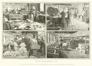 Salmon Canning, Oregon, USA