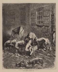 En hundemiddag i Paris