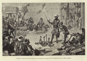 Egypt - Demonstrasjon av en slangetjarmer