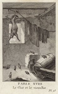 Katten og den gamle rotta