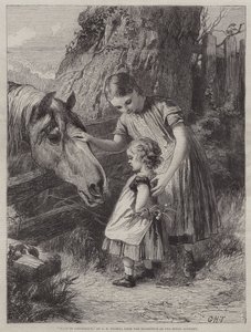 Ønske om tillit