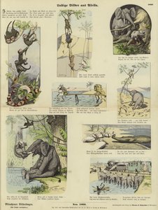 Morsomme bilder fra Afrika