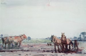 Plog hester