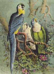 Parrots (chromolitho)   387383   no       Norwegisch Successfully Translated  Original: Falcon in the poultry yard (chromolitho) Translat: Falcon in the poultry yard (chromolitho) 387382 no Norwegisch Successfully Translated Original: Weaver Bird (chromoli
