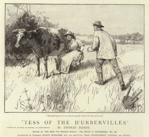 Tess fra D