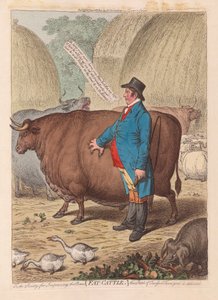Fat Cattle, pub. 1802 (håndfarget gravering)