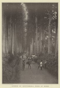 Avenue of Cryptomeria furu ved Nikko