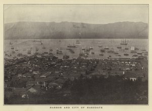Havnen og byen Hakodate