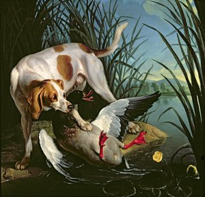 Hund med en villand