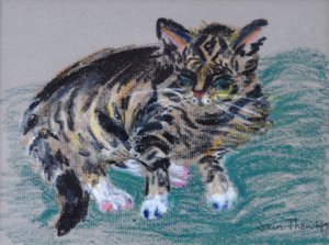 Tabby Cat, 2005 (pastell)