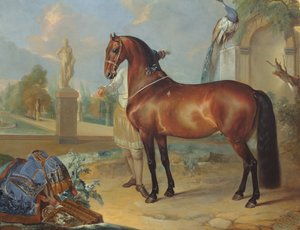 The Bay Horse 