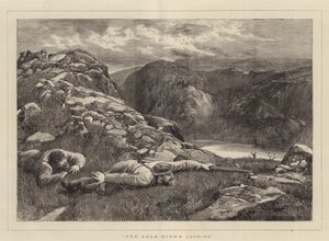 Auld Hind ser ut