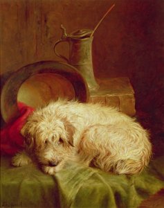 En terrier
