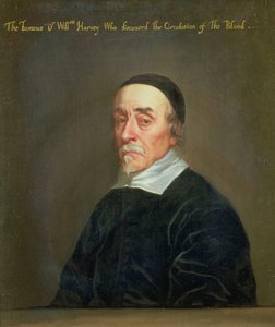 Portrett av William Harvey (1578–1657)