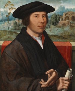 Portrett av en mann, 1528-29