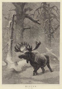 Vinter