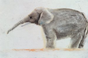 Elefant