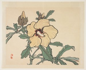 Blomstrende stokkrose