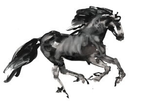 Galopp, 2015, (blekk og akvarell på papir)