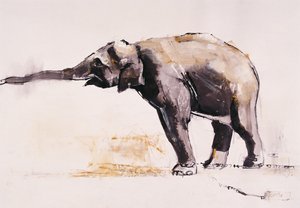 Indian Elephant, Khana (blandet media på papir)