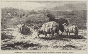 Sauer i et landskap, Bretagne