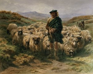 The Highland Shepherd, akvarell