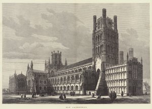 Ely katedral