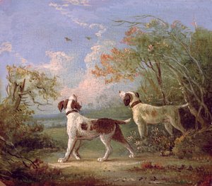 Spaniels i et landskap