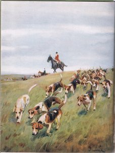 Revejakt, illustrasjon fra "Hounds"