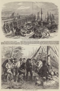 Yarmouth-sildfisket