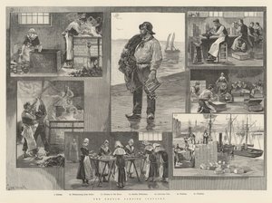 Den franske sardinindustrien