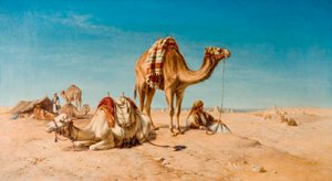 Et stopp i ørkenen, 1867