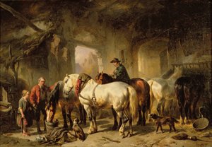 Hester som fôrer i stallen