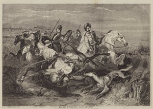 Villsvinjakt i Afrika