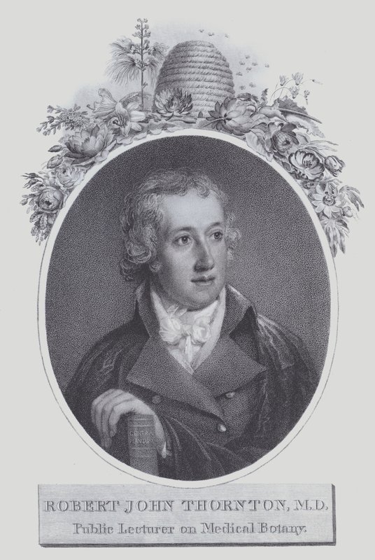 Robert John Thornton (litho) av (after) English School
