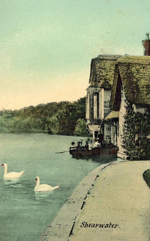 Shearwater (fargebilde) av (after) English photographer