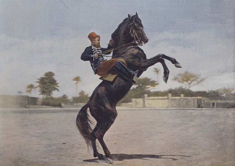 Nos Cavaliers (farget bilde) av (after) French Photographer