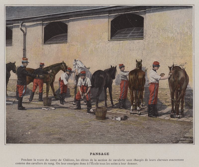 Pansage (farget bilde) av (after) French Photographer