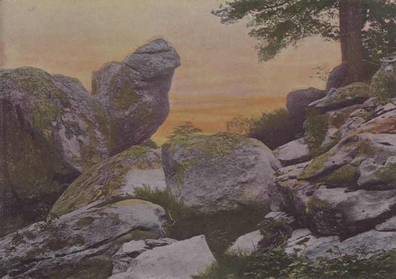 Rochers du mont Ussy (farget bilde) av (after) French Photographer