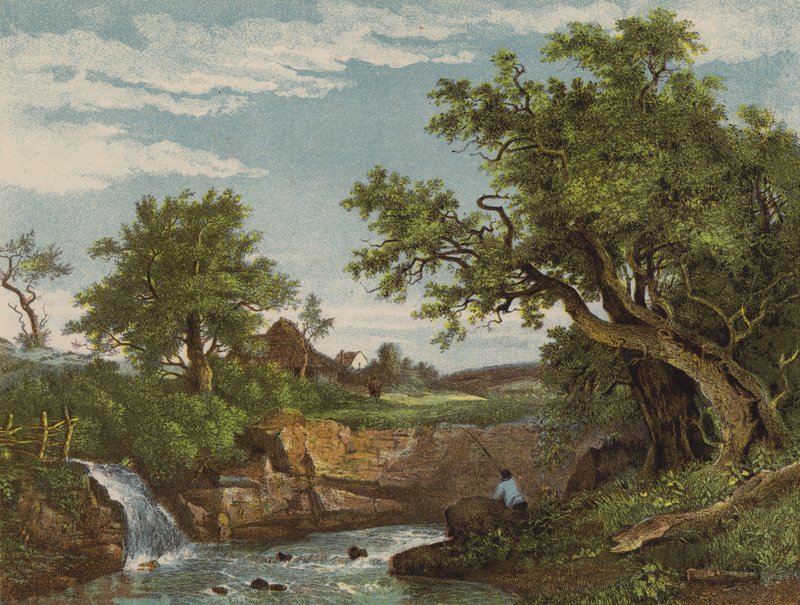Anglers Nook av English School