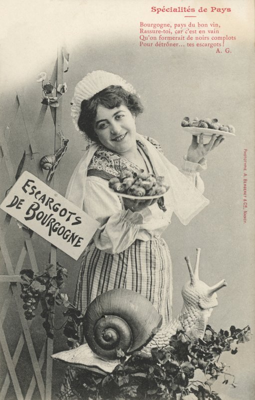 Burgundersnegler av French Photographer