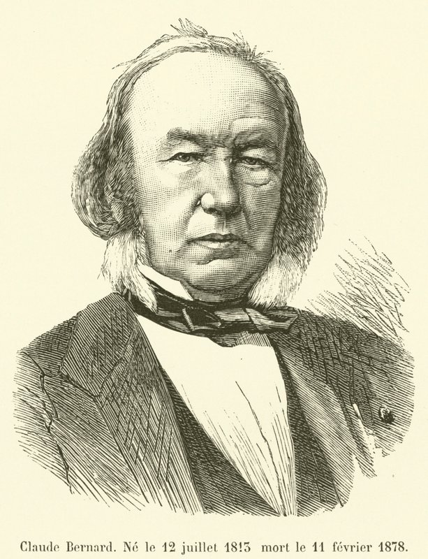 Claude Bernard, født 12. juli 1813 død 11. februar 1878 av French School