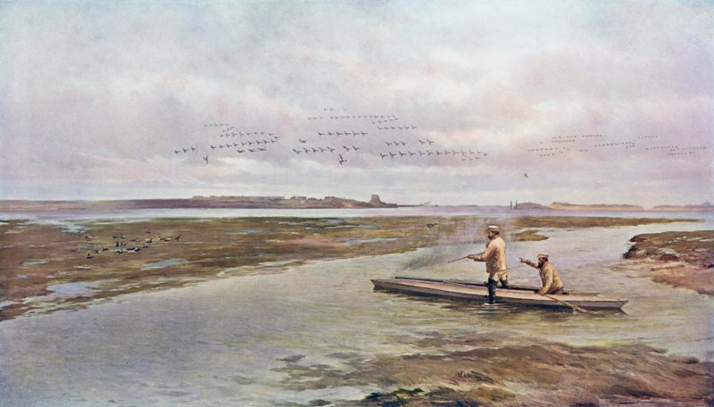 Etter et skudd på brentgås av A. de Bree